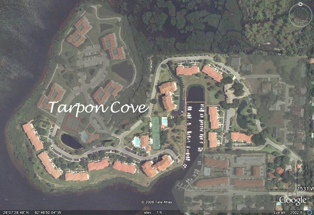 aerial view of tarpon cove